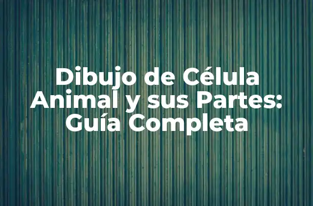 Estructura Básica de la Célula Animal