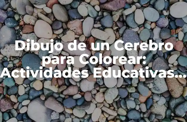 Dibujo de un Cerebro para Colorear: Actividades Educativas y Terapéuticas