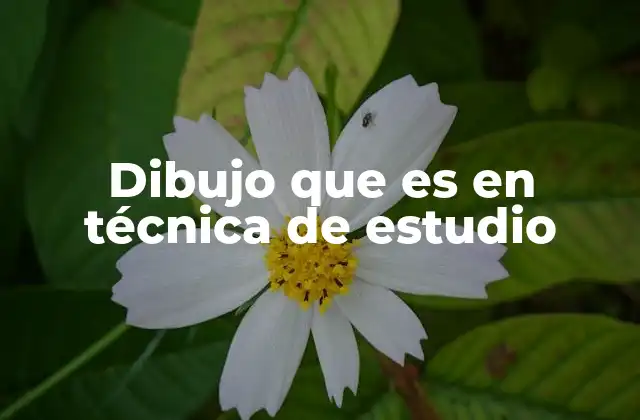 Dibujo que es en Técnica de Estudio
