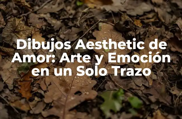 Dibujos Aesthetic de Amor: Arte y Emoción en un Solo Trazo