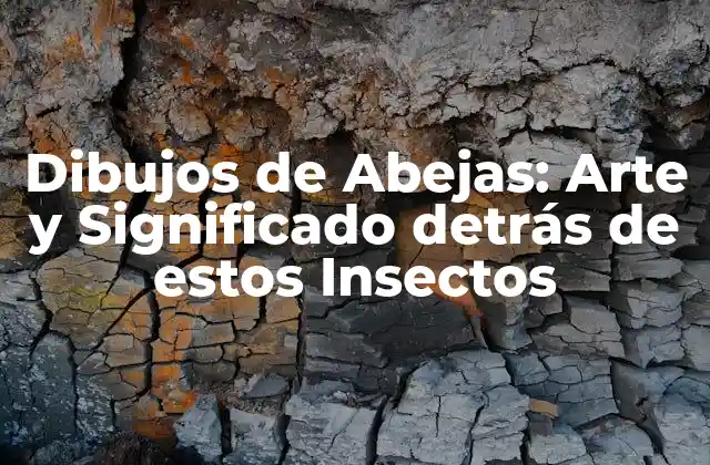 La História de los Dibujos de Abejas