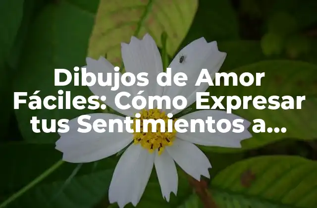 Los Elementos Básicos de los Dibujos de Amor