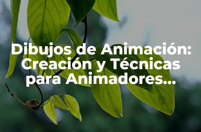 Dibujos de Animación: Creación y Técnicas para Animadores Principiantes
