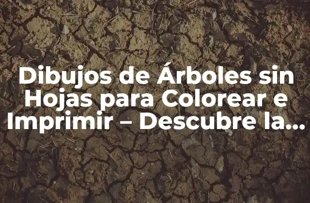 ¿Por qué los Dibujos de Árboles sin Hojas son Populares?