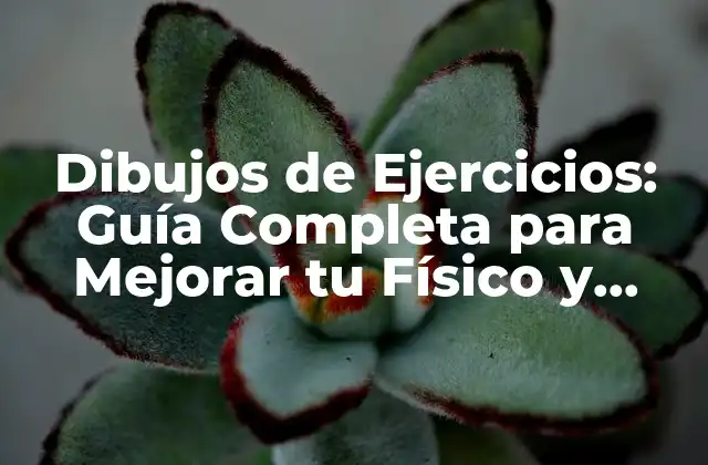 Dibujos de Ejercicios: Guía Completa para Mejorar Tu Físico y Salud