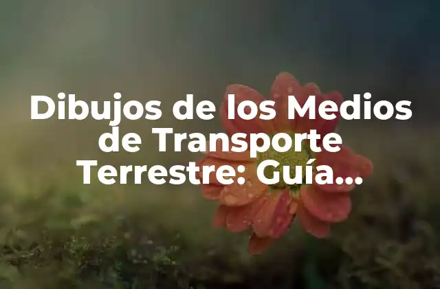 Dibujos de los Medios de Transporte Terrestre: Guía Completa y Detallada