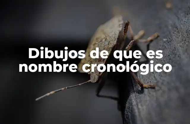 La importancia de visualizar la historia de los nombres