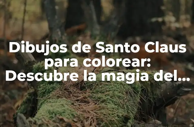 Dibujos de Santo Claus para Colorear: Descubre la Magia Del Color