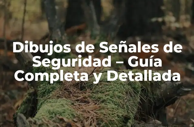Dibujos de Señales de Seguridad – Guía Completa y Detallada