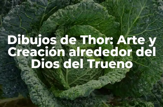 Dibujos de Thor: Arte y Creación Alrededor Del Dios Del Trueno
