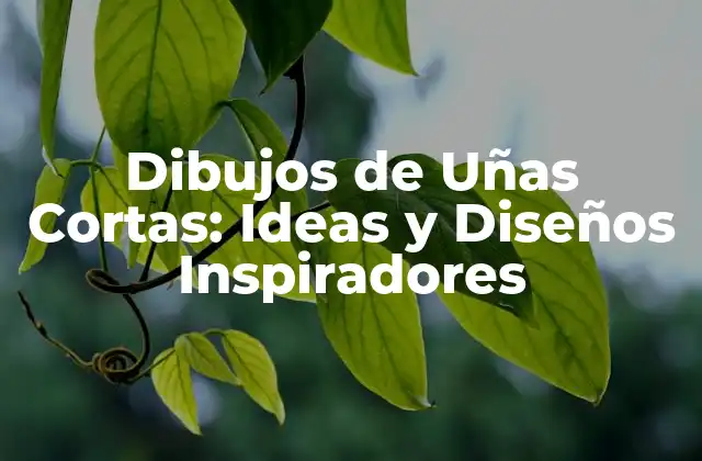 Dibujos de Uñas Cortas: Ideas y Diseños Inspiradores 2 Ventajas de los Dibujos de Uñas Cortas