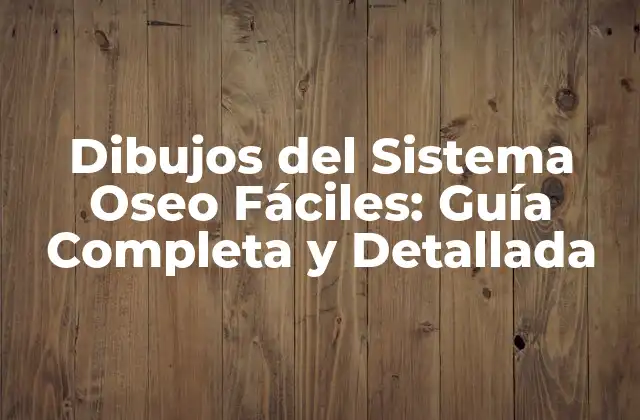 Dibujos Del Sistema Oseo Fáciles: Guía Completa y Detallada