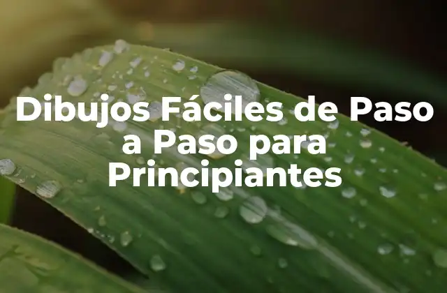 Dibujos Fáciles de Paso a Paso para Principiantes 2 ¿Qué son los Dibujos Fáciles de Paso a Paso?