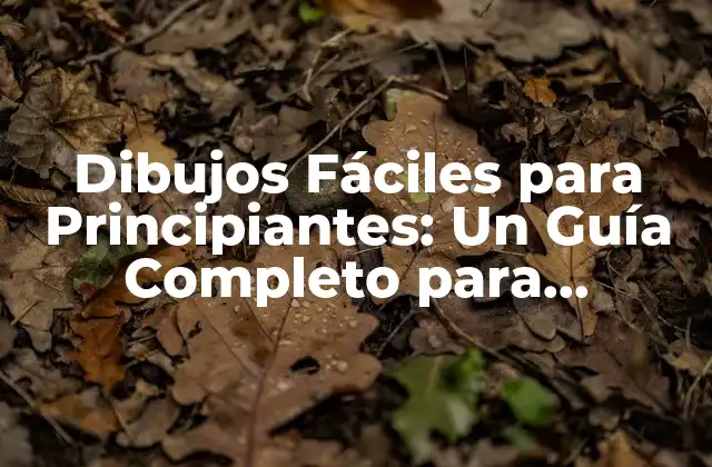 Dibujos Fáciles para Principiantes: un Guía Completo para Empezar a Dibujar