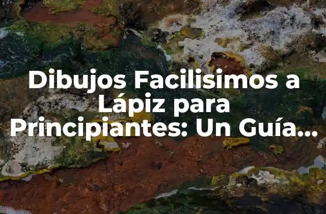 Dibujos Facilisimos a Lápiz para Principiantes: un Guía Completo