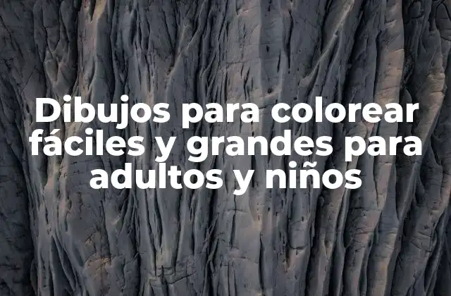 Dibujos para Colorear Fáciles y Grandes para Adultos y Niños