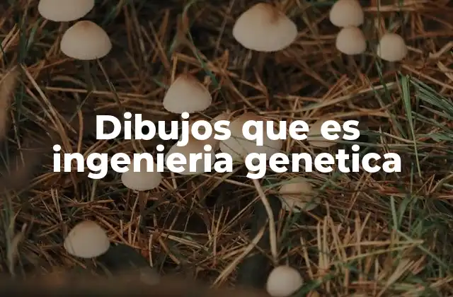 Dibujos que es Ingenieria Genetica 2 Cómo los dibujos explican la manipulación genética