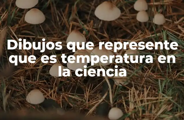 La temperatura como fenómeno representable en ciencia