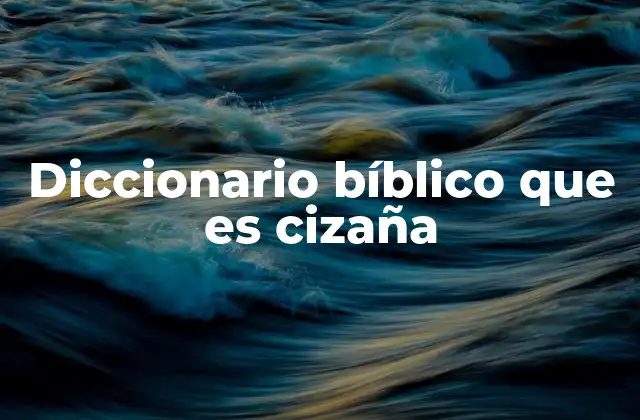 Diccionario Bíblico que es Cizaña