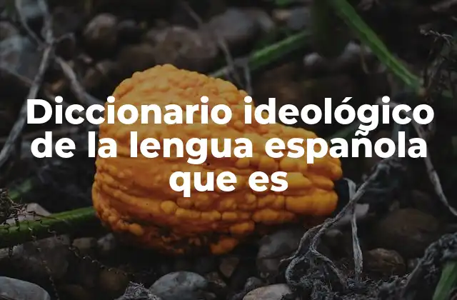 Diccionario Ideológico de la Lengua Española que es
