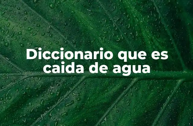 Diccionario que es Caida de Agua