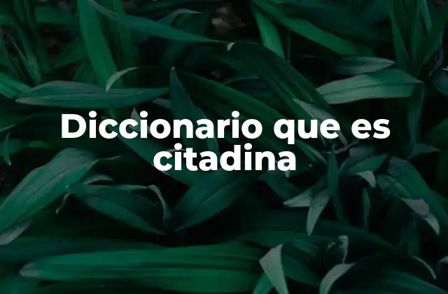 Diccionario que es Citadina