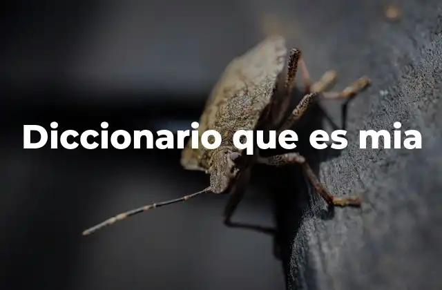 Diccionario que es Mia