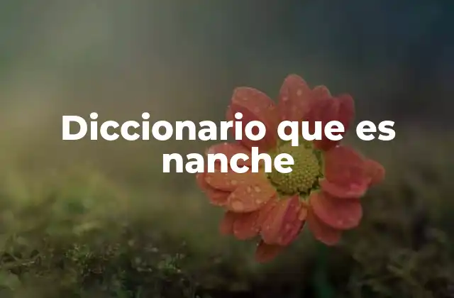 Diccionario que es Nanche