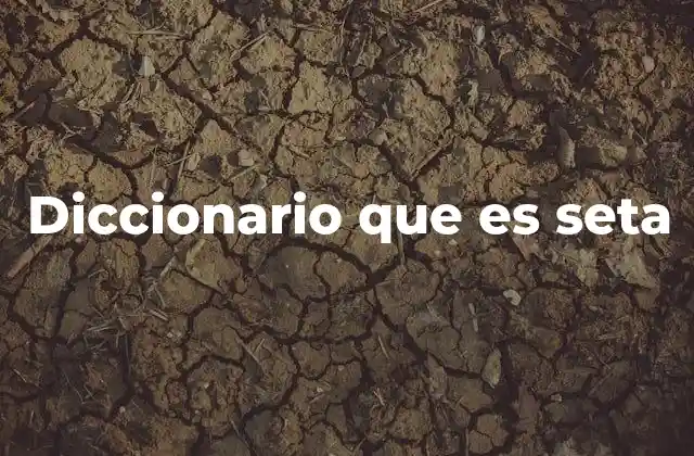 Diccionario que es Seta