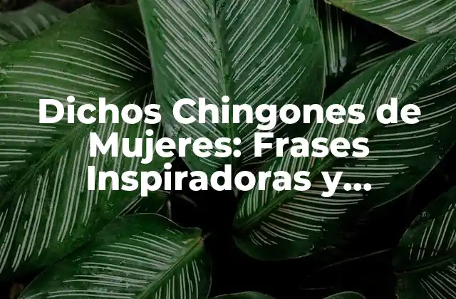 Dichos Chingones de Mujeres: Frases Inspiradoras y Empoderadoras