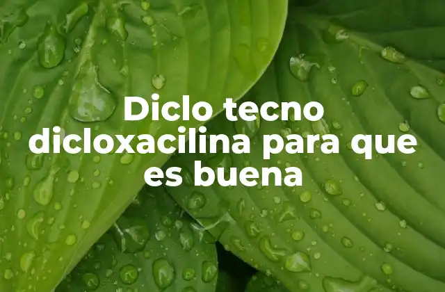 Diclo Tecno Dicloxacilina para que es Buena