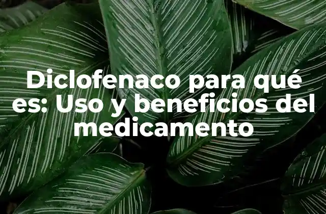 Diclofenaco para Qué Es: Uso y Beneficios Del Medicamento