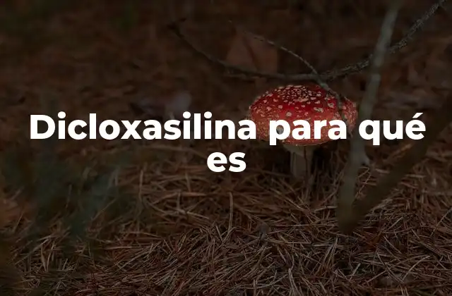 Dicloxasilina para Qué es 2 Características y mecanismo de acción de la dicloxasilina