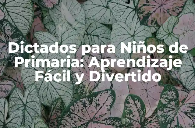 Dictados para Niños de Primaria: Aprendizaje Fácil y Divertido