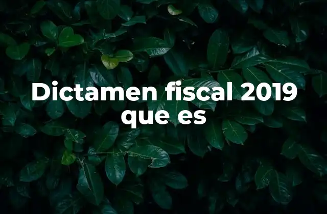 Dictamen Fiscal 2019 que es