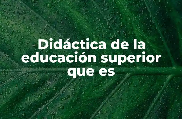 Didáctica de la Educación Superior que es
