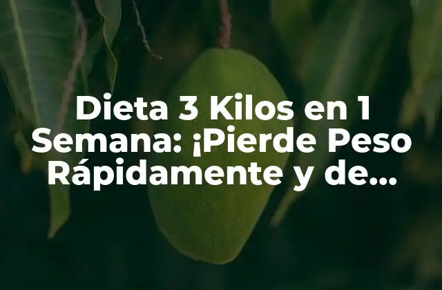 Dieta 3 Kilos en 1 Semana: ¡pierde Peso Rápidamente y de Forma Saludable!