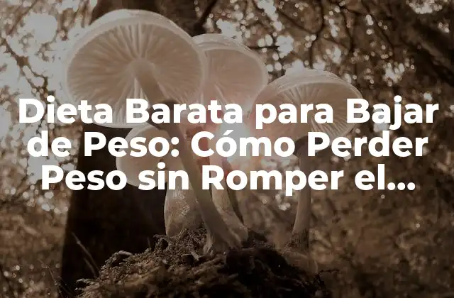 Dieta Barata para Bajar de Peso: Cómo Perder Peso sin Romper el Banco