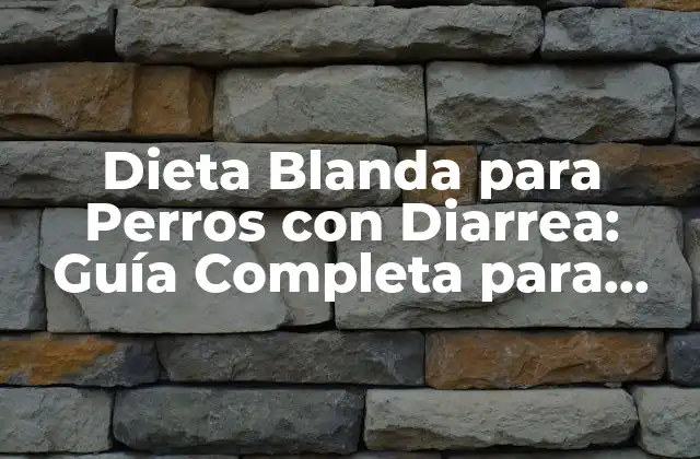 Dieta Blanda para Perros con Diarrea: Guía Completa para Recuperar la Salud de Tu Mascota