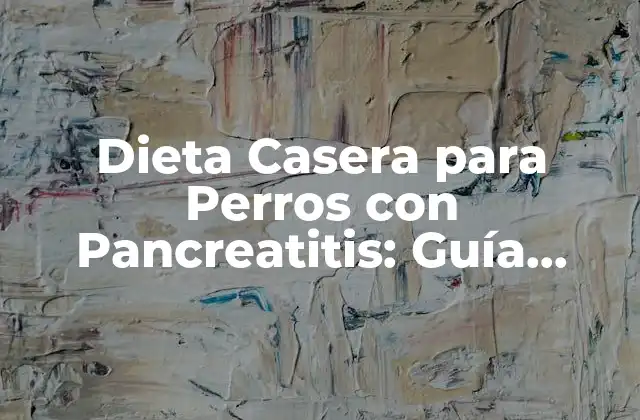 Dieta Casera para Perros con Pancreatitis: Guía Completa y Natural