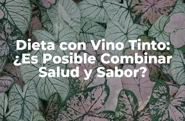 ¿Cuáles son los Beneficios del Vino Tinto para la Salud?