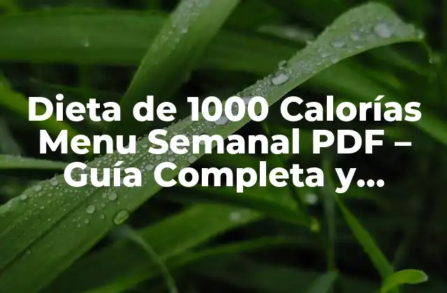 Dieta de 1000 Calorías Menu Semanal Pdf – Guía Completa y Descargable
