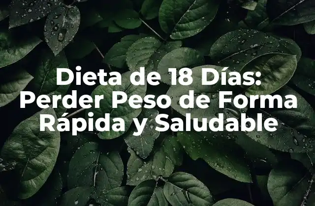 ¿Qué es la Dieta de 18 Días?