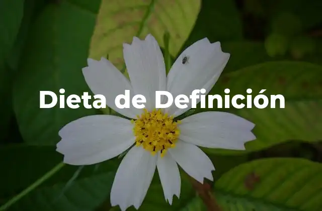 Dieta de Definición 2 ¿Qué es una Dieta de Definición?