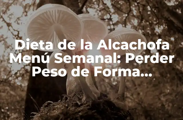 ¿Cómo Funciona la Dieta de la Alcachofa Menú Semanal?