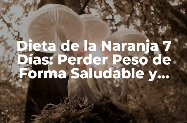 Dieta de la Naranja 7 Días: Perder Peso de Forma Saludable y Rápida