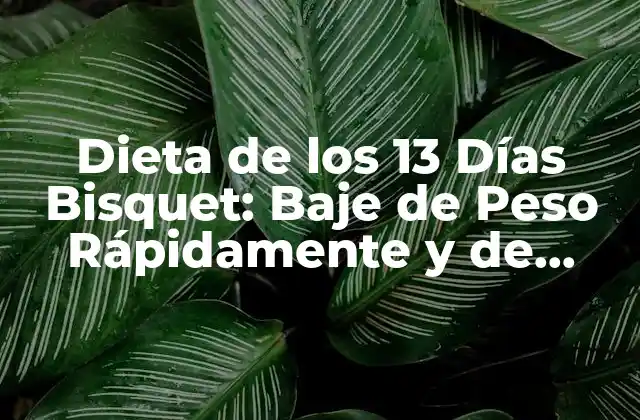 Dieta de los 13 Días Bisquet: Baje de Peso Rápidamente y de Forma Saludable