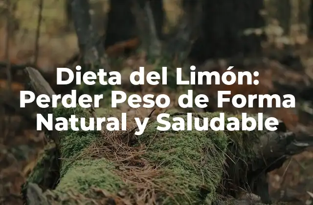Dieta Del Limón: Perder Peso de Forma Natural y Saludable