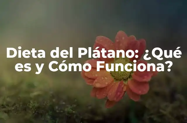 Dieta Del Plátano: ¿qué es y Cómo Funciona?