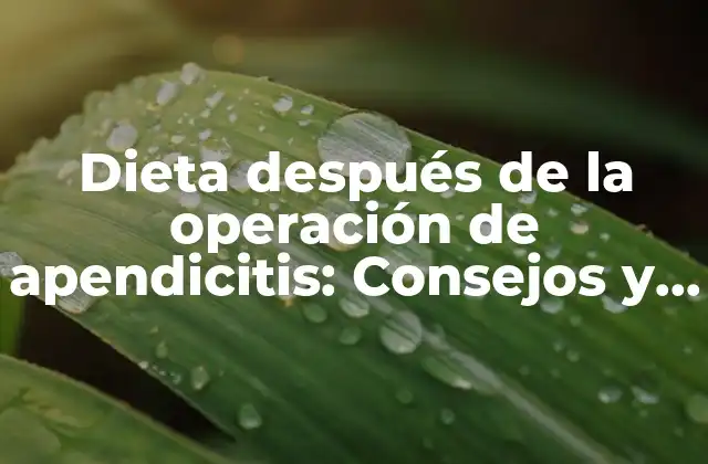 Dieta Después de la Operación de Apendicitis: Consejos y Recomendaciones